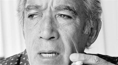 anthony quinn net worth 2020.